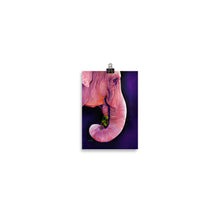 Load image into Gallery viewer, "Pink Elephant" Poster