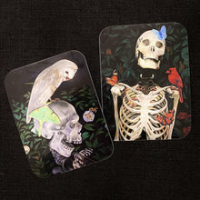 Load image into Gallery viewer, VINYL STICKER SET - "Rebirth & Eternal"