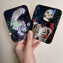 Load image into Gallery viewer, VINYL STICKER SET - "Rebirth & Eternal"