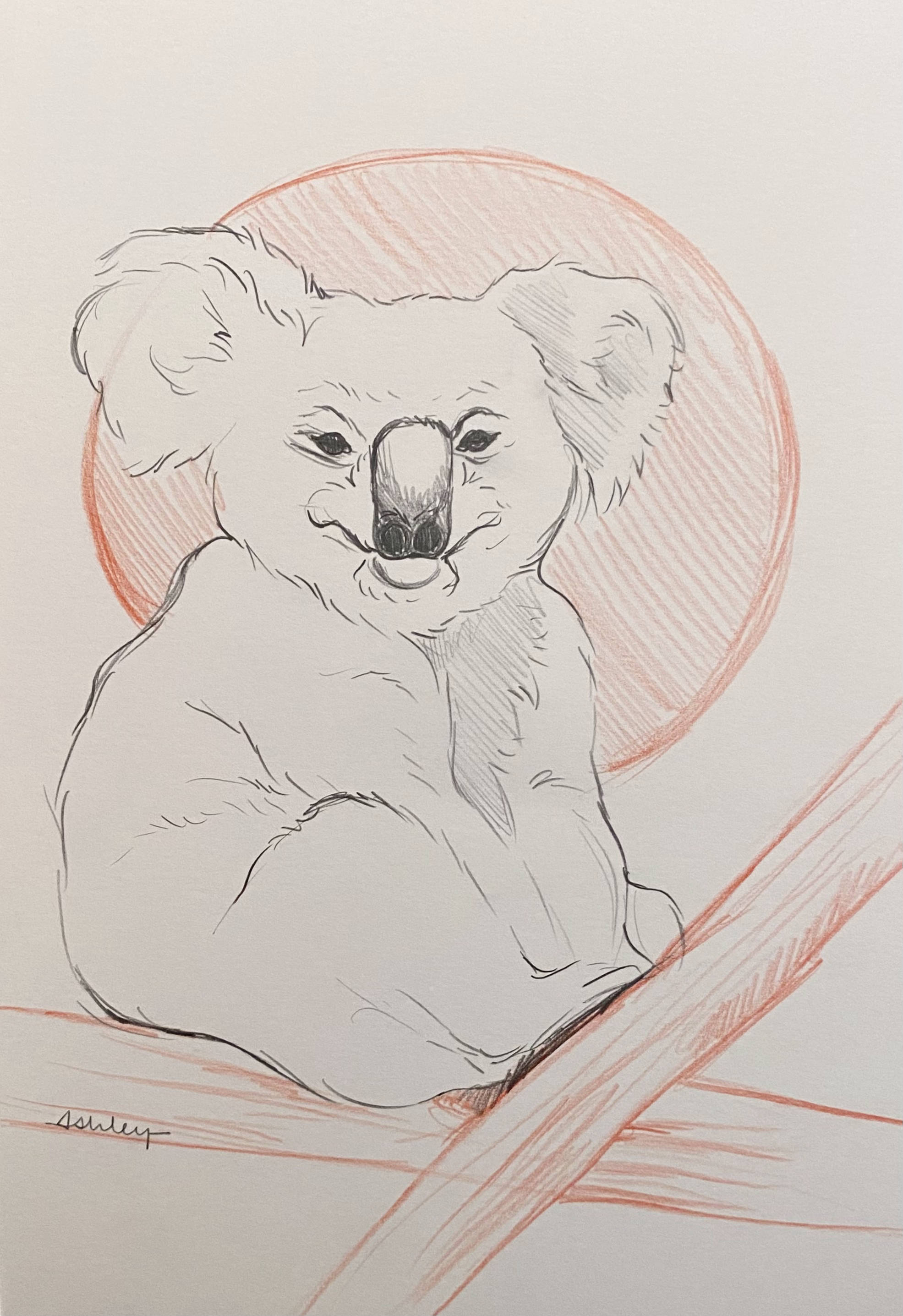 Koala Art Print — Amy Richards Illustration
