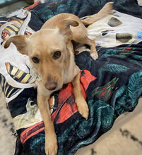 Load image into Gallery viewer, "Rebirth" Throw Blanket