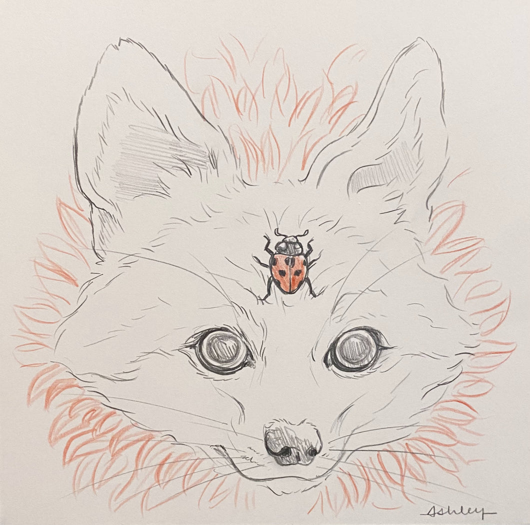 ORIGINAL Graphite Sketch - Fox & Ladybug